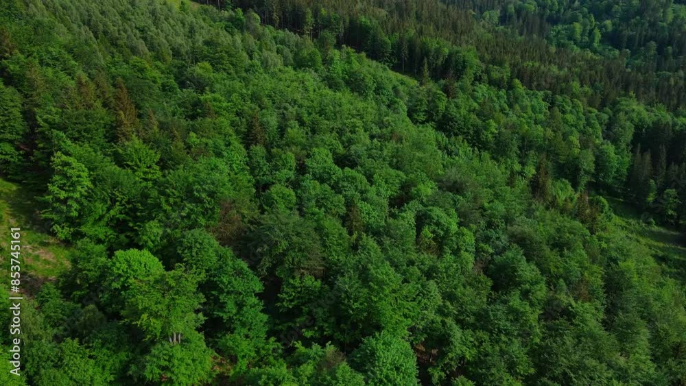 Aerial view of mountains covered with dense forests. Flight over green trees in summer day. Nature landscape Aerial view of mountains covered with dense forests. Flight over green trees in summer day. Nature landscape