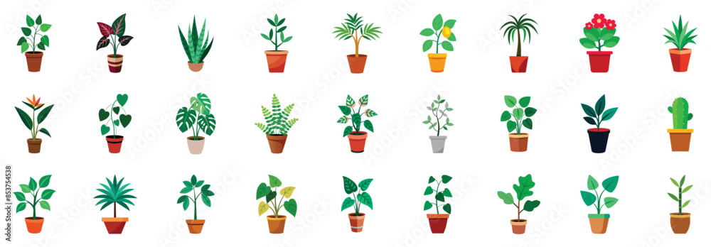 Houseplants in pots icons, flat vector cartoon illustration. Different indoor plants - ficus benjamina, fiddle leaf, fig, golden pothos, string hearts, bamboo, cactus, cast iron plant. Houseplants in pots icons, flat vector cartoon illustration. Different indoor plants - ficus benjamina, fiddle leaf, fig, golden pothos, string hearts, bamboo, cactus, cast iron plant.