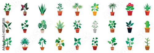 Houseplants in pots icons, flat vector cartoon illustration. Different indoor plants - ficus benjamina, fiddle leaf, fig, golden pothos, string hearts, bamboo, cactus, cast iron plant.