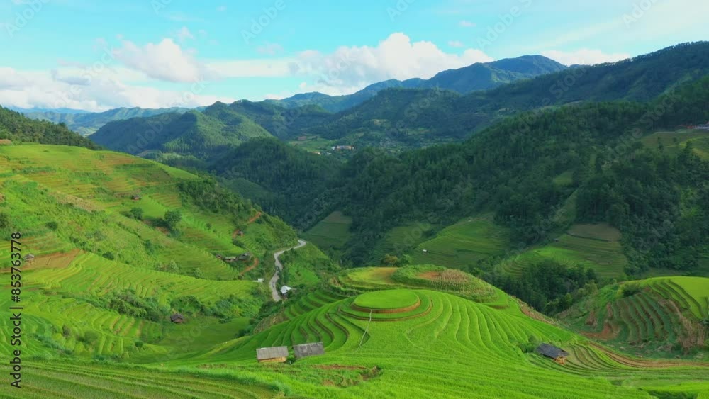 Drone view of the Vietnam rice fields in season because they are planted and green on the mountains,Mu cang chai. Drone view of the Vietnam rice fields in season because they are planted and green on the mountains,Mu cang chai.