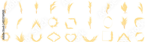 Pampas icons set. Different golden wheat ears creating various shapes, ideal for branding projects