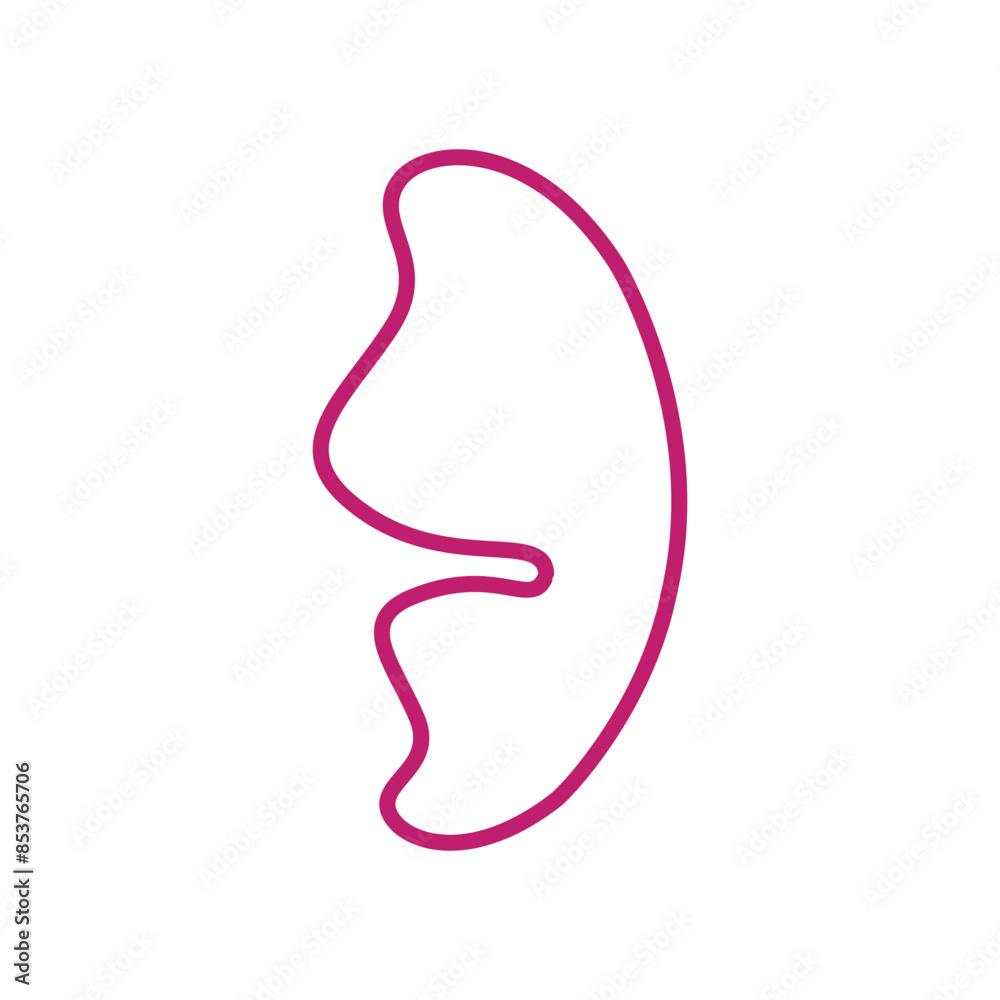 illustration of half butterfly wings and fairy wings in pink line style. Can be used for various purposes such as illustrating children's fairy tales, story book frames, etc illustration of half butterfly wings and fairy wings in pink line style. Can be used for various purposes such as illustrating children's fairy tales, story book frames, etc
