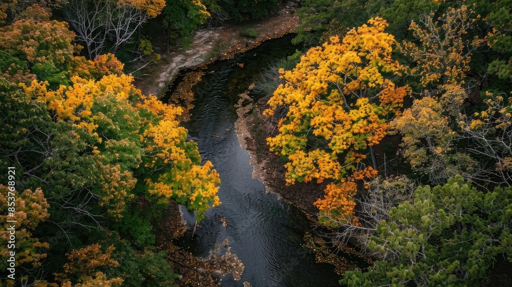 Aerial view of winding river surrounded by vibrant autumn foliage in a dense forest, showcasing the beauty of the fall season. Aerial view of winding river surrounded by vibrant autumn foliage in a dense forest, showcasing the beauty of the fall season.