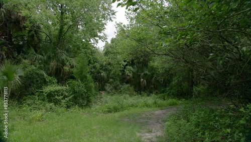 Jacksonville Reddie Point Preserve 14 photo