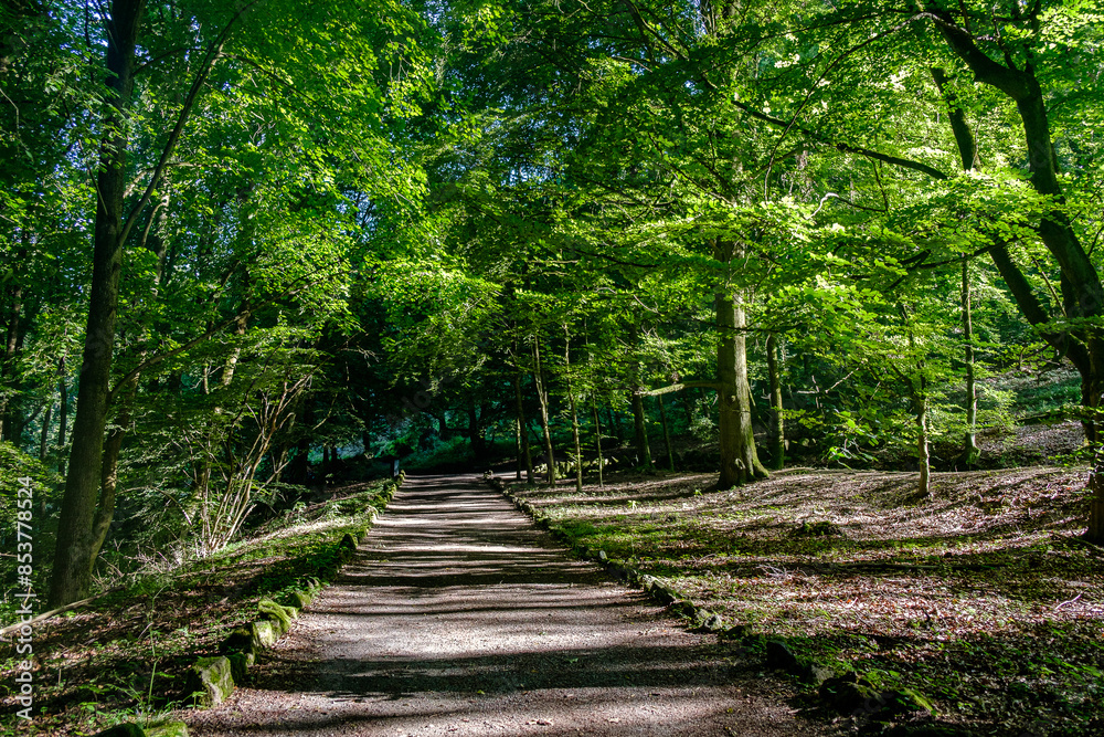path in the park full of sunlight during the daytime in the Spring in Kassel Germany path in the park full of sunlight during the daytime in the Spring in Kassel Germany