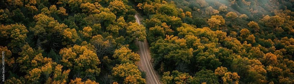 Aerial view of a winding road through a dense forest in autumn, showcasing vibrant fall foliage and natural beauty.