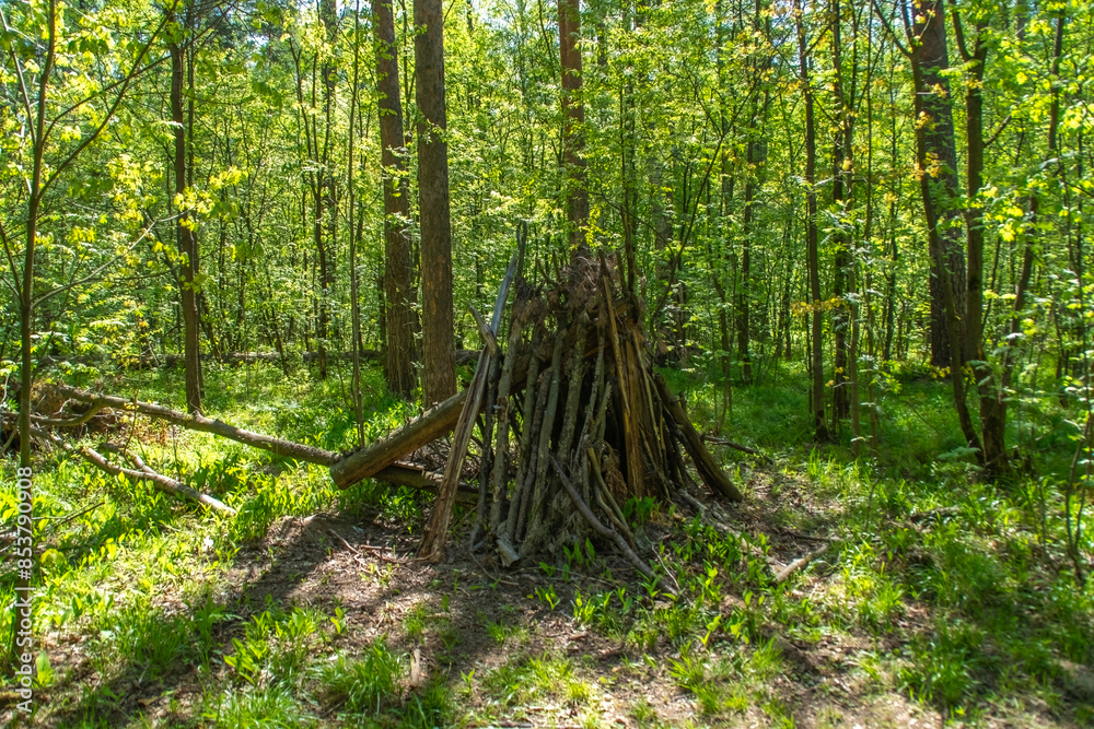 Wooden hut in the forest. A simple dwelling made of branches between trees. Wooden hut in the forest. A simple dwelling made of branches between trees.