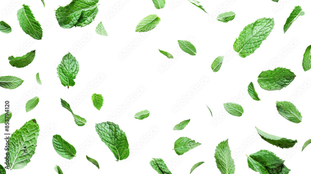 Flying mint leaves Flying mint leaves
