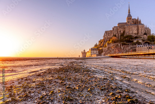 Magnificient Mont Saint Michel with stunning light