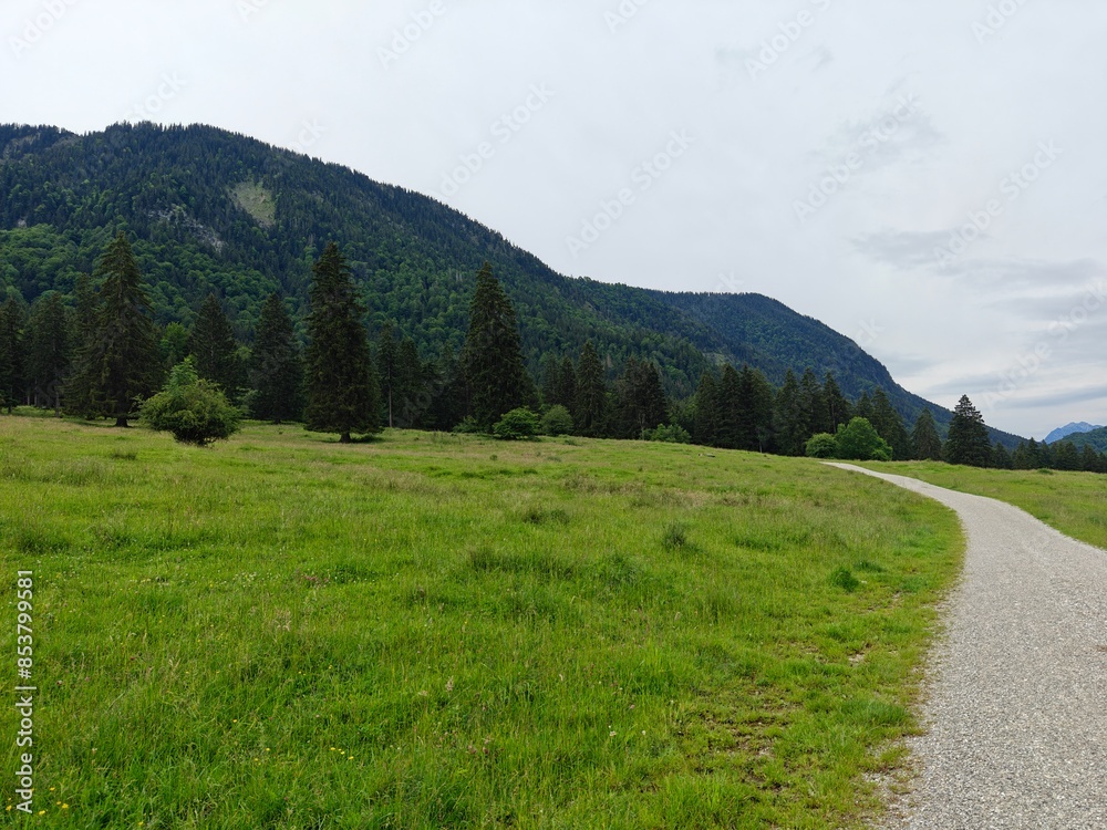 mountain road in the mountains