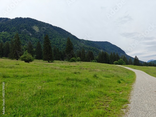 mountain road in the mountains