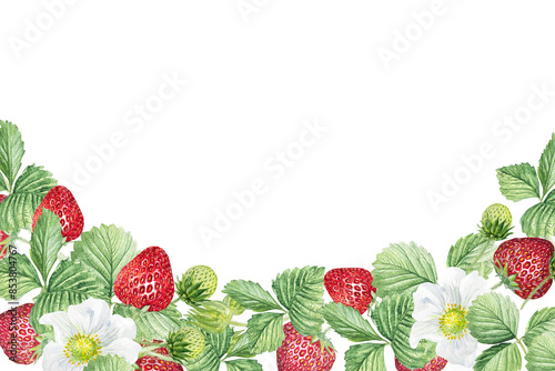 Watercolor frame of white flowers and strawberries. Beautiful frame with strawberry flowers, strawberries, leaves, hand drawn.