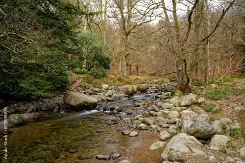 Aira Force