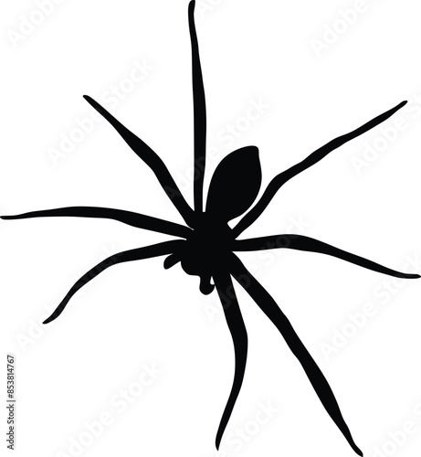 This Spider silhouette victor