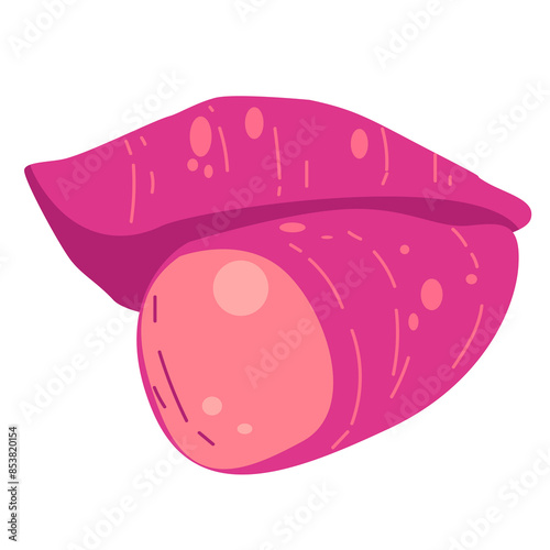 Sweet potato vegetable flat icon, sweet potatoes vector illustration, ipomoea batatas or ubi jalar, ubi rambat or ubi manis clipart, ubi jawa or ubi jenderal image, petatas or kentang manis, ketela ra