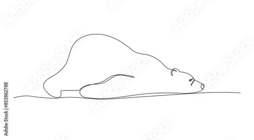 One line sketch. Funny polar bear is lying. Outline monochrome vector illustration of forest animal isolated on white background