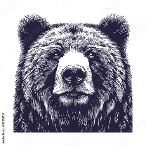 bear vector, bear silhouette