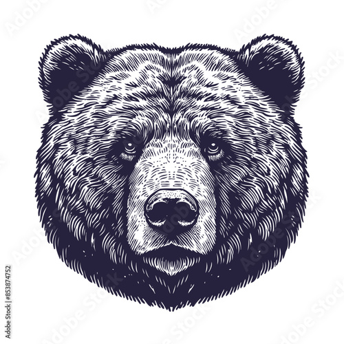 bear vector, bear silhouette