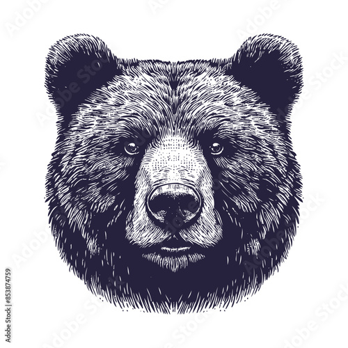 bear vector, bear silhouette