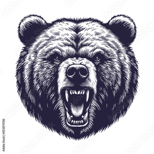 bear vector, bear silhouette