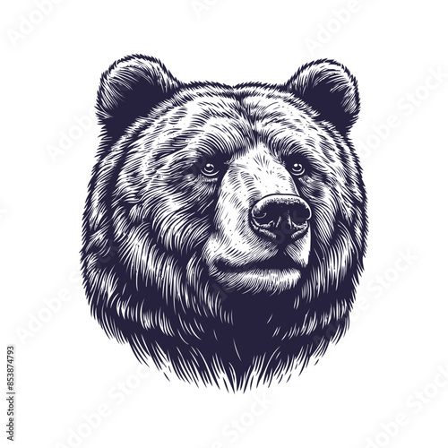 bear vector, bear silhouette