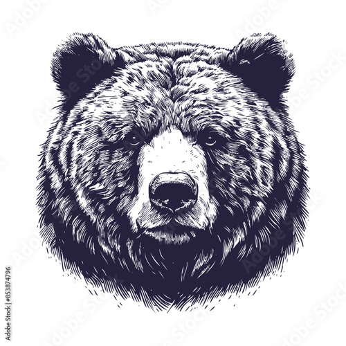 bear vector, bear silhouette
