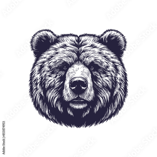 bear vector, bear silhouette