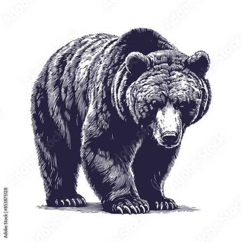 bear vector, bear silhouette