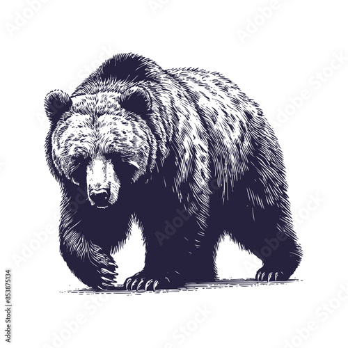 bear vector, bear silhouette