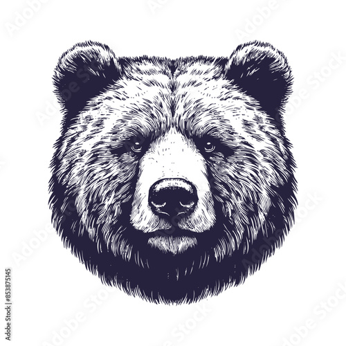 bear vector, bear silhouette
