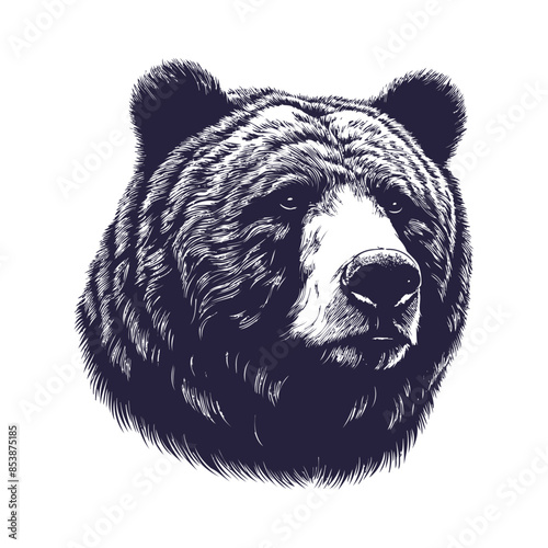 bear vector, bear silhouette