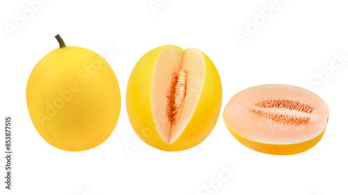 Ripe fresh honeydew melon. Whole melon and slices. Realistic vector illustration. Isolated transparent png