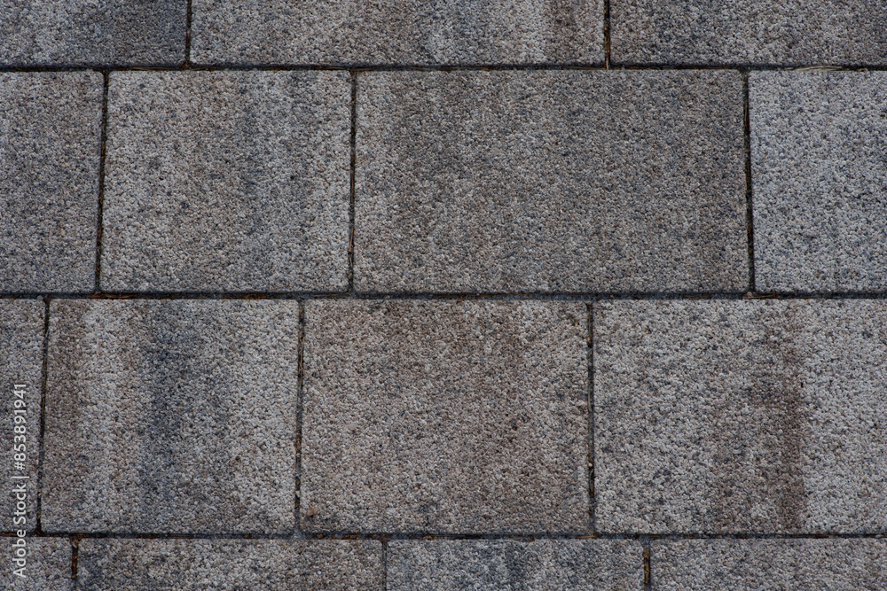 Fototapeta premium sidewalk blocks made of bricks 