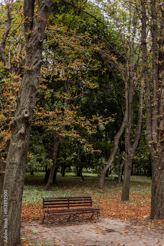 A bench without people on the alley in the park against the background of trees. A wooden bench for resting in the park
