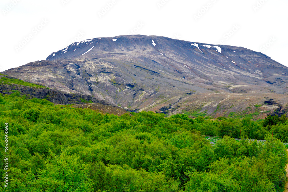 Obraz premium Magical landscapes of Iceland. Majestic snow-capped mountain peak towering over a lush green forest under a clear blue sky