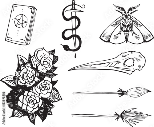 Set line art drawing clipart halloween holiday party invitation. Witch minimalistic items icons bird skull witch magic book sword rose flower Gothic stickers design elements on occult scary theme