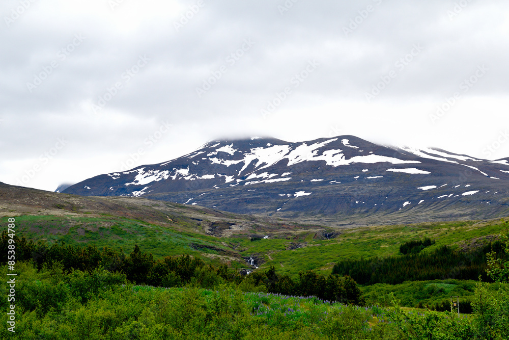 Fototapeta premium Magical landscapes of Iceland. Snow-capped peak of Mount Glymur, Iceland's tallest waterfall, surrounded by lush green vegetation under a clear blue sky