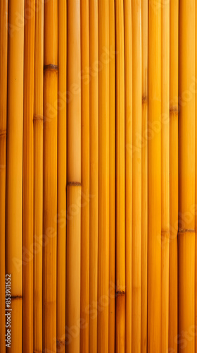 Taquara Bamboo, Abstract Image Pattern Background Texture, For Wallpaper, Background, Cover and Screen of Cell Phone, Smartphone, Computer, Laptop, Format 9:16 and 16:9 - PNG photo