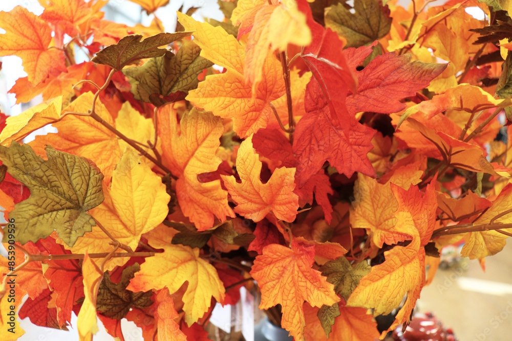 Fototapeta premium autumn background of colorful leaves