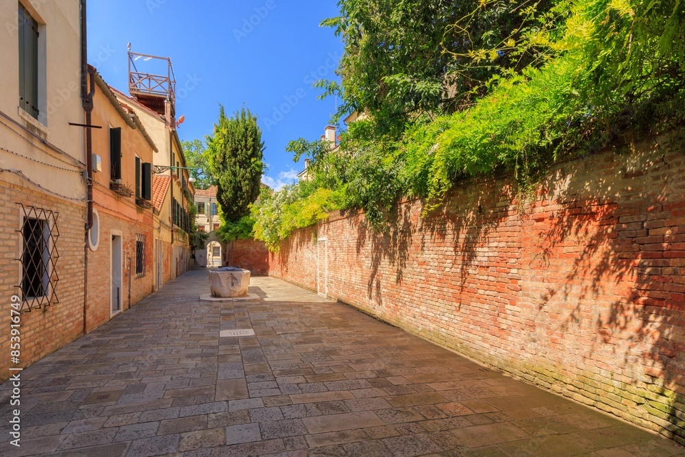 Fototapeta premium Venezia Dorsoduro Corte del Sabion con Portale in Pietra