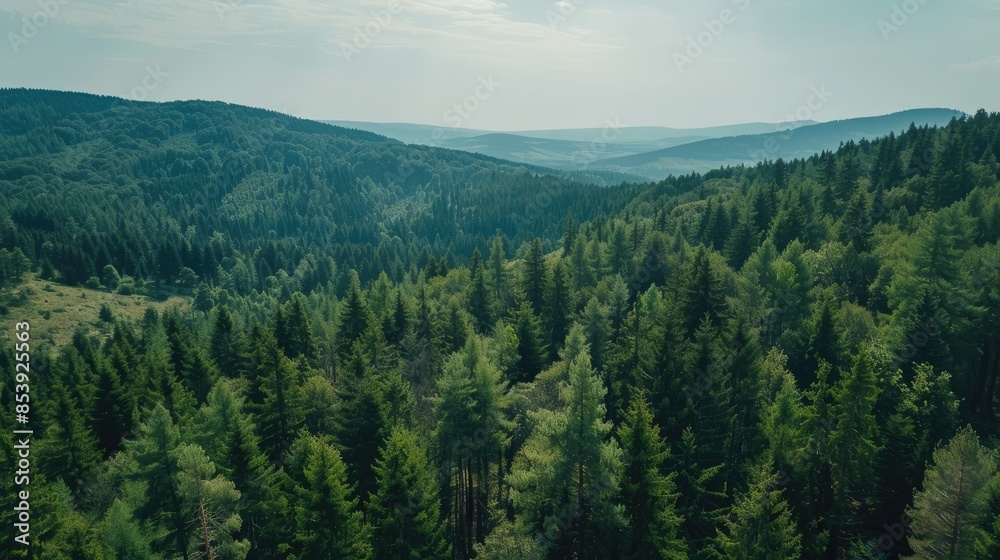 Elevated drone view showing a vast expanse of mountain forest stretching to the horizon Elevated drone view showing a vast expanse of mountain forest stretching to the horizon