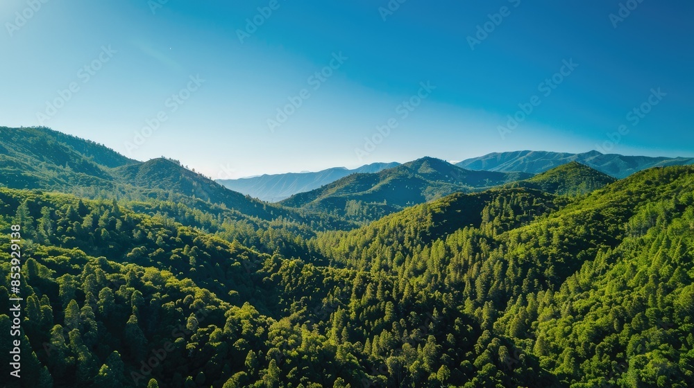 Spectacular aerial shot of lush green mountain forests under a clear blue sky, taken by a drone Spectacular aerial shot of lush green mountain forests under a clear blue sky, taken by a drone