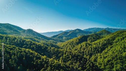 Spectacular aerial shot of lush green mountain forests under a clear blue sky, taken by a drone