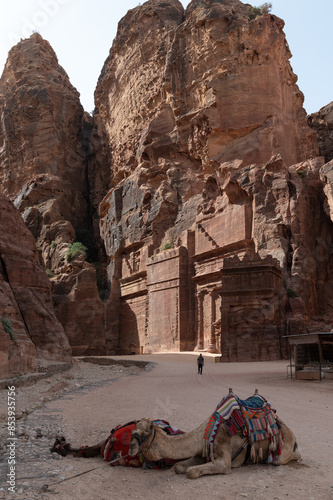 Petra, edificios excavados en roca en la avenida de las fachadas con camello, Jordania.