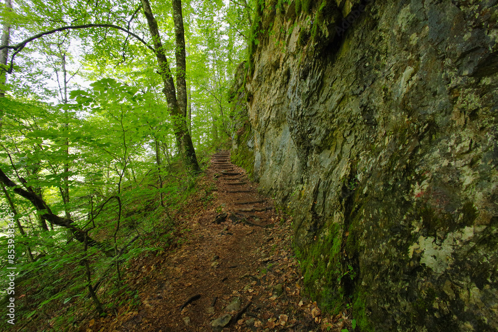 Hiking Trail in the wild Enipeas gorge to the Holy Cave of Saint Dionysios in Olympus national park - Greece Hiking Trail in the wild Enipeas gorge to the Holy Cave of Saint Dionysios in Olympus national park - Greece