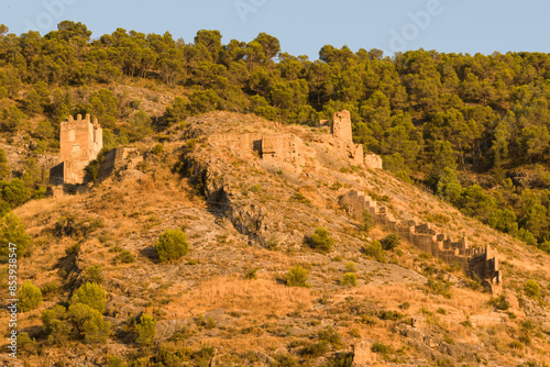 Pliego castle. It was declared an Asset of Cultural Interest in 1985. The walled area, a cistern and the keep are currently preserved.