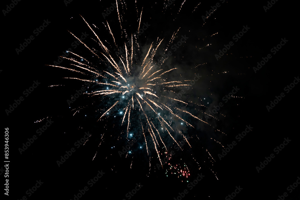 Fototapeta premium Fireworks blooming in the night sky