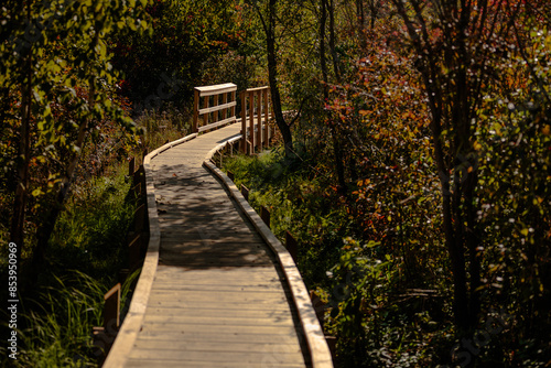 A boardwalk over a wet area and the stream inlet to Ennis Lake (Fountain Lake), along the National Scenic Ice Age Trail, John Muir Memorial Park near Montello, Wisconsin in autumn