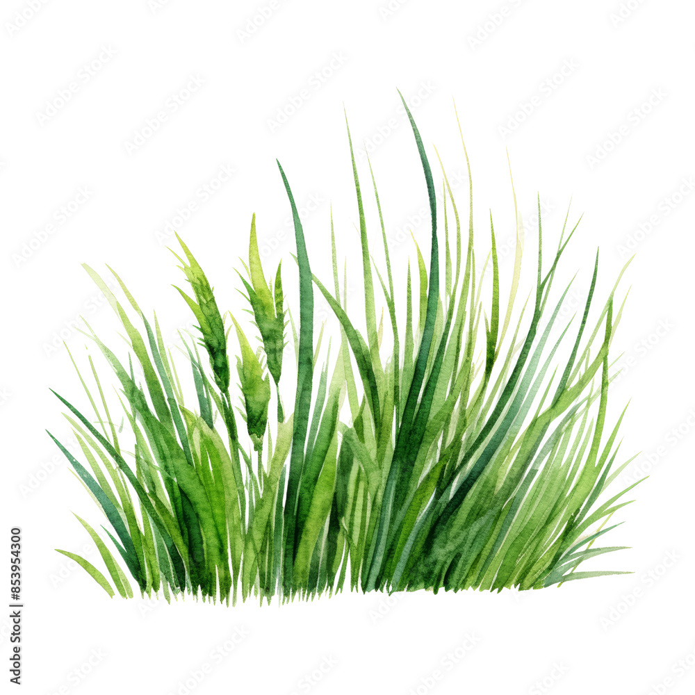 green grass watercolor isolated on transparent background cutout green grass watercolor isolated on transparent background cutout