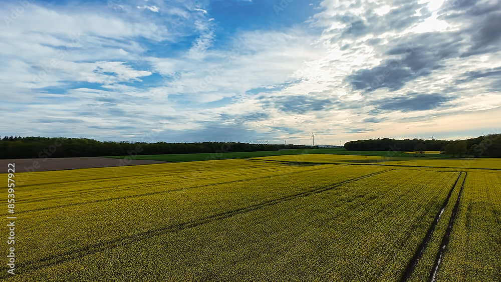 Cloudy sky over wheat field natural landscape with horizon in view 4K FPV drone view Hanover Seelze Germany Cloudy sky over wheat field natural landscape with horizon in view 4K FPV drone view Hanover Seelze Germany